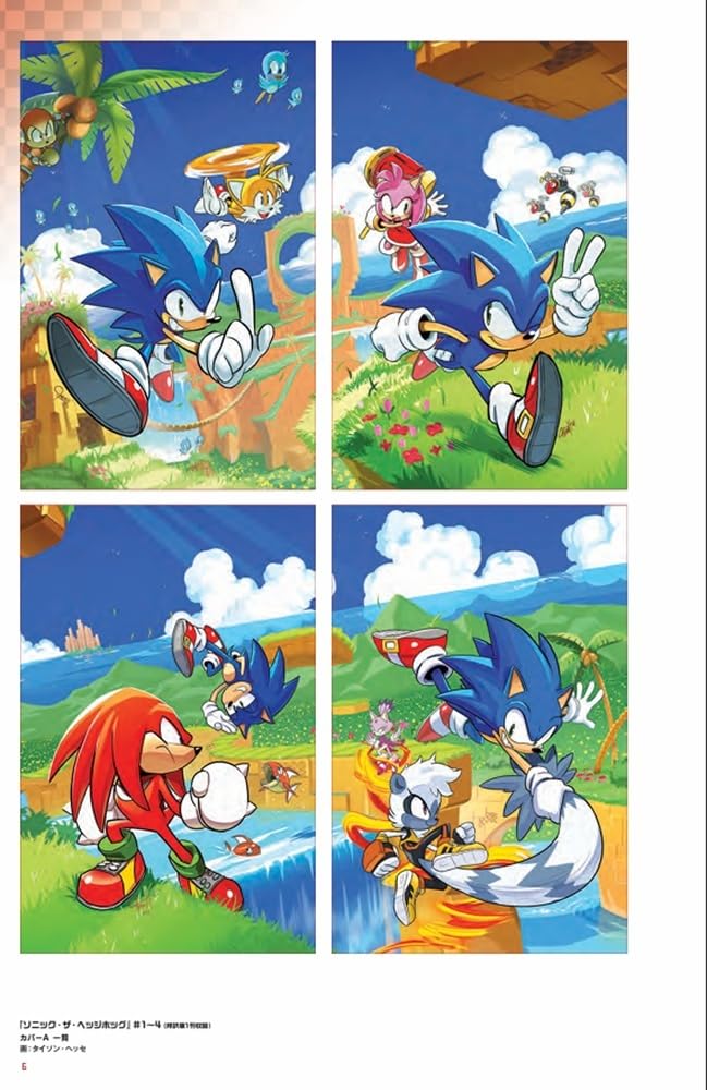 Sonic the Hedgehog; IDW Comic Art Collection
