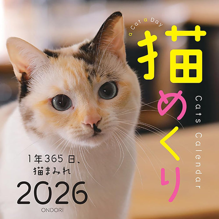 Cats Calendar Cat Day 2026