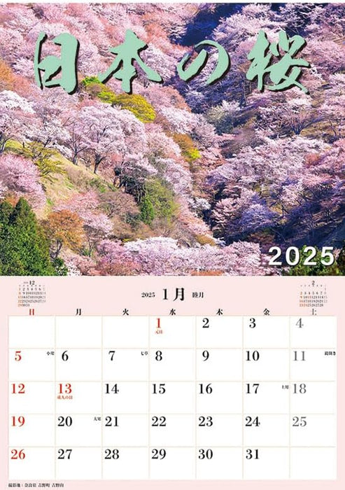 Try-X Jumbo 'Cherry Blossoms of Japan' Schedule 2025 Wall Calendar CL-471 B2