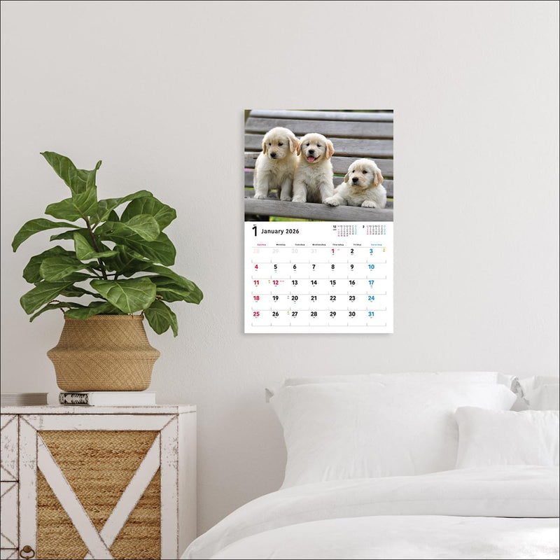 2026 Golden Retriever Calendar Wide Edition (Seibundo-shinkosha Calendar)