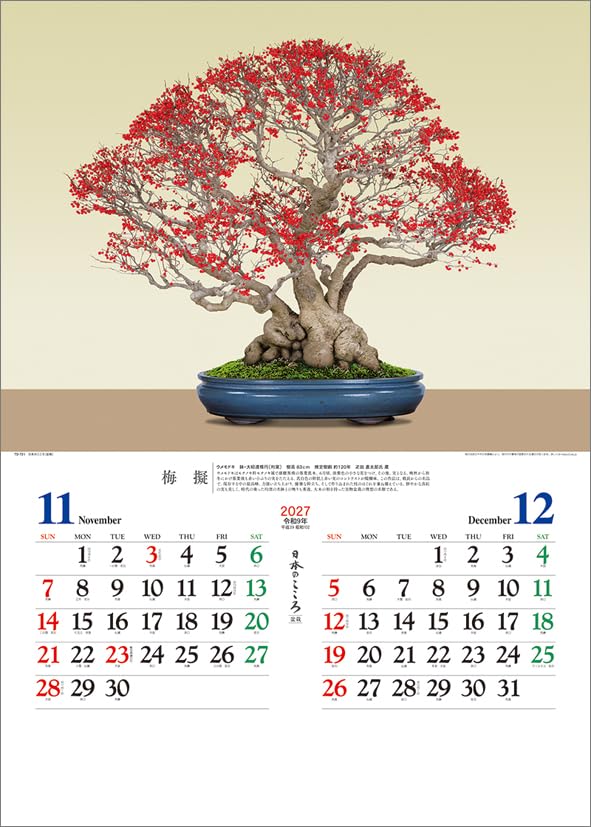 Todan 2027 Wall Calendar Japanese Heart Bonsai CL27-1039