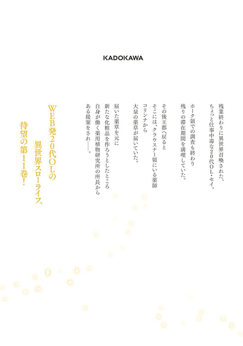 The Saint's Magic Power is Omnipotent (Seijo no Maryoku wa Bannou desu) 11