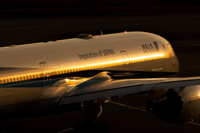 Go! Go! 787 (Ikaros Calendar 2025)