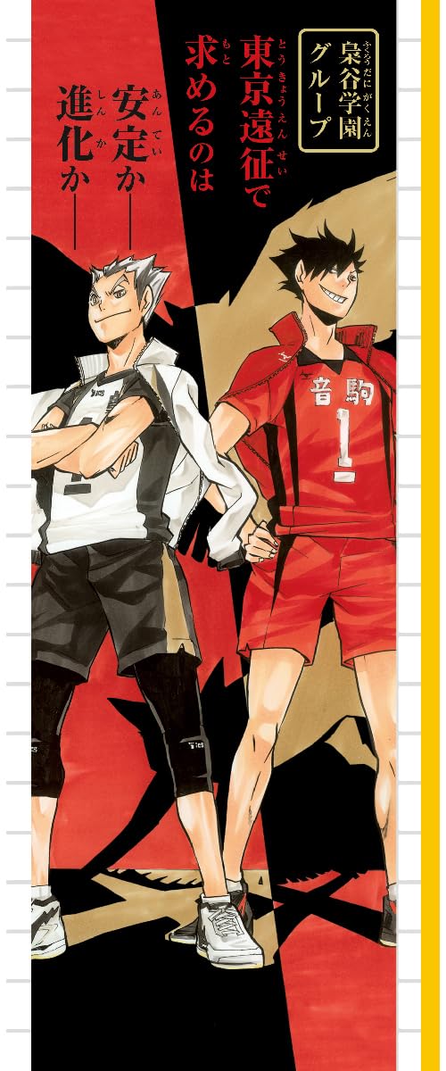 Haikyu!! Manga Novelize Mosa Fukurodani Gakuen tono Deai Special Edition