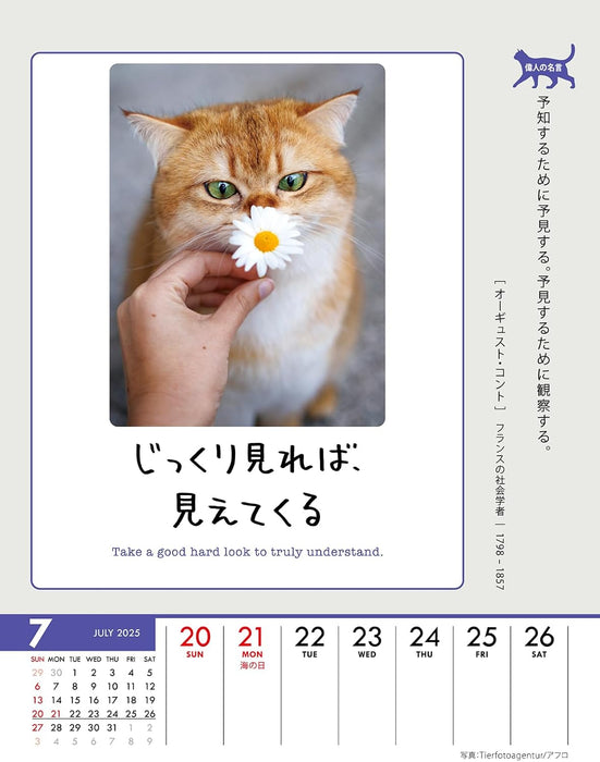 Try-X Life Works Itself Out! 2025 Desk Wall Calendar CL-384 18 x 14cm