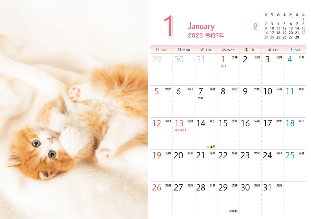 Mofumofu Koneko mini Calendar 2025 (Impress Calendar 2025)