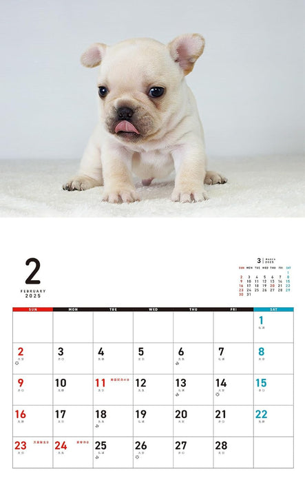 I LOVE French Bulldog Calendar 2025 (Monthly/Wall Calendar)