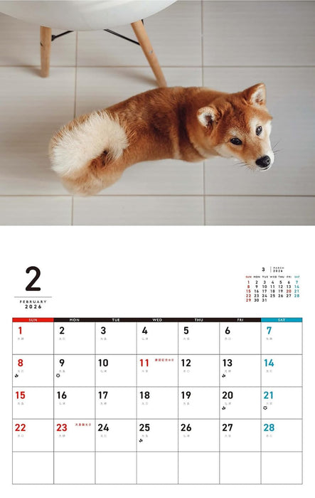 Honobono Shiba Calendar 2026 (Monthly/Wall Calendar)