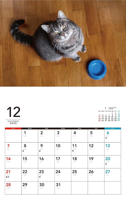 At home with cat Calendar 2026 (Monthly/Wall Calendar)
