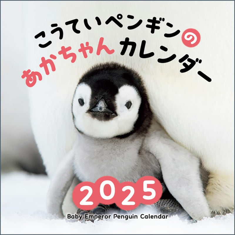 Baby Emperir Penguin Calendar 2025