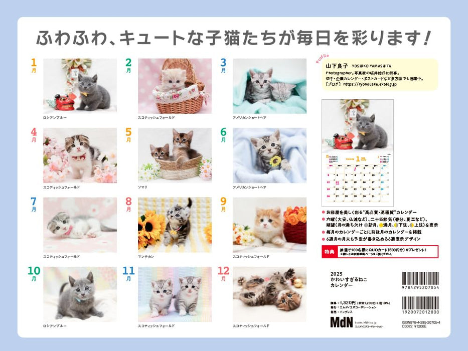 Too Cute Cat Calendar 2025