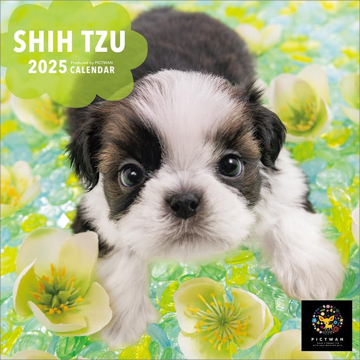 PICTWAN 2025 Calendar Shih Tzu