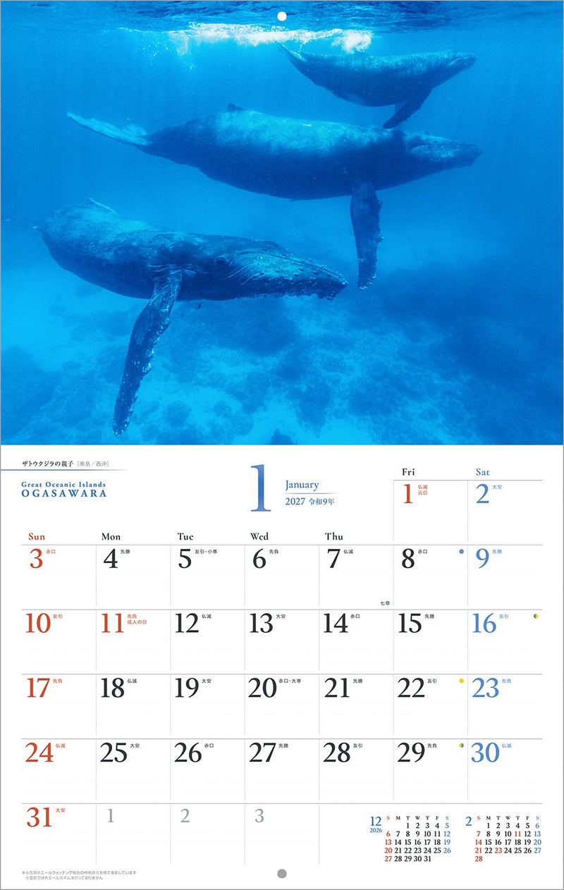 Shashin Koubou Calendar 'Great Oceanic Islands OGASAWARA' 2027 Wall Calendar (with Paper Holder)