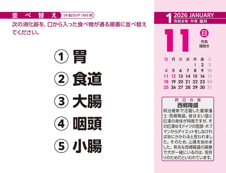 Try-X 2026 Desk Page-A-Day Calendar Brain Power Boost! 365 CL-614 11x15cm