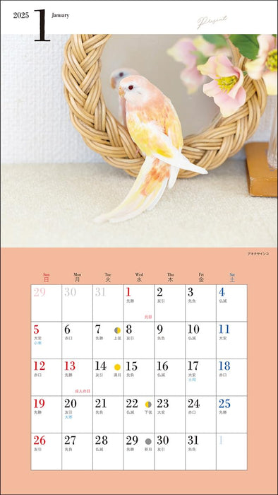 2025 Little Bird Calendar