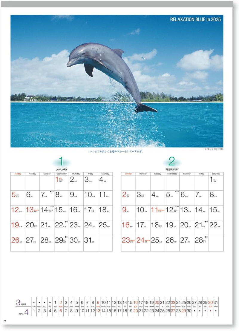 New Japan Calendar 2025 Wall Calendar Relaxation Blue NK32