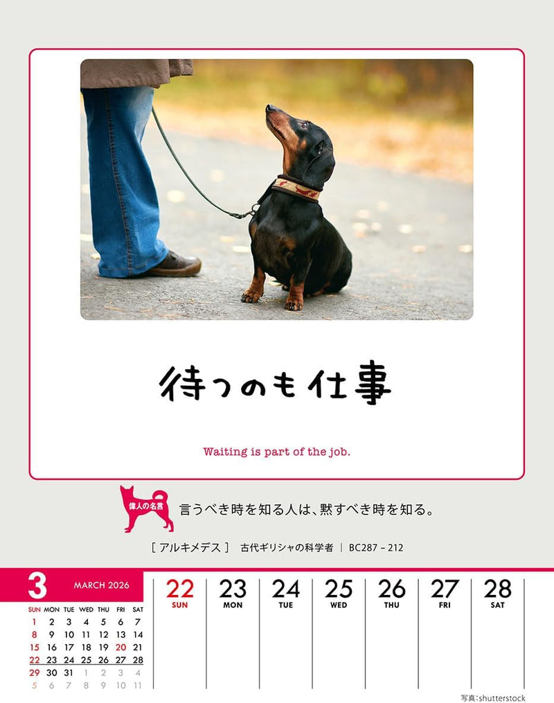 Try-X Only One Chance at Life! 2026 Desk Wall Calendar CL-383 18 x 14cm