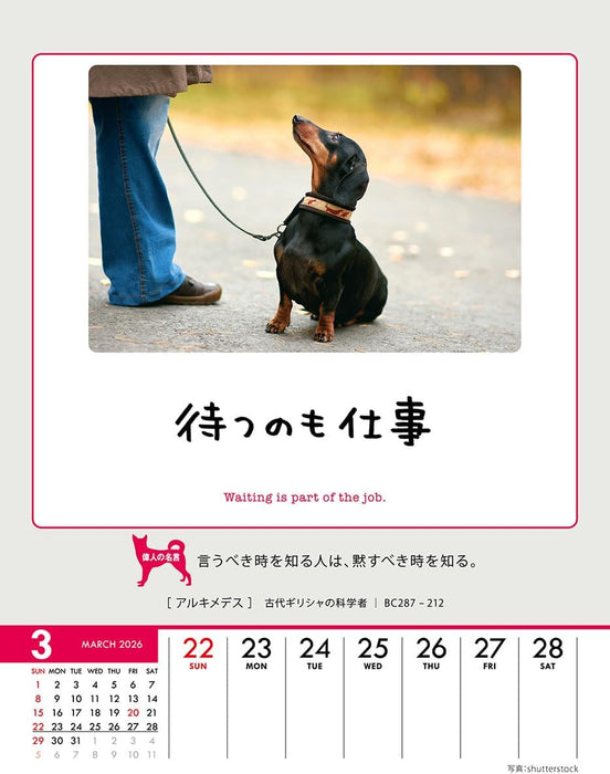 Try-X Only One Chance at Life! 2026 Desk Wall Calendar CL-383 18 x 14cm