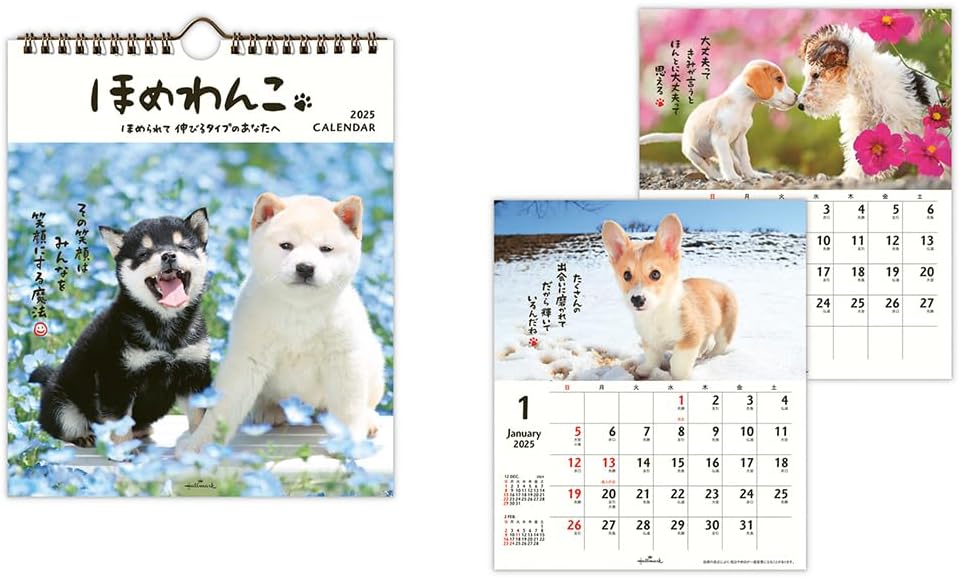 Hallmark 2025 Wall Calendar Homewanko Small 834-722