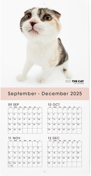 THE CAT 2026 Wall Calendar Mini Size [Scottish Fold]