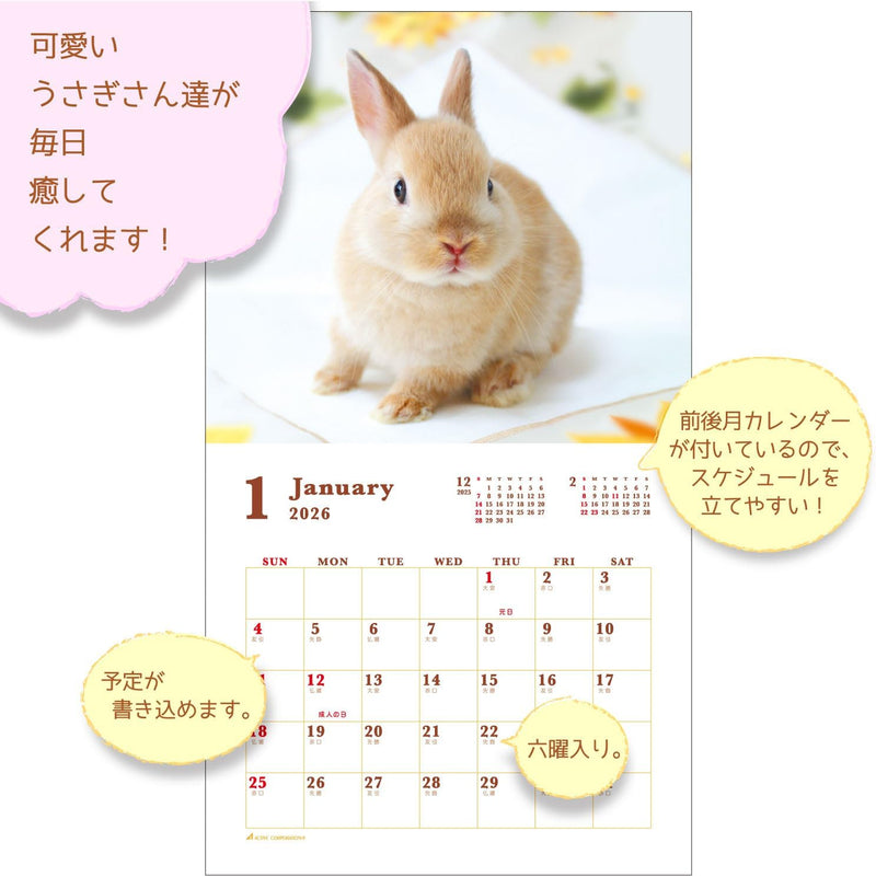Active Corporation 2026 Wall Calendar Sweet Rabbit 26ACL-36