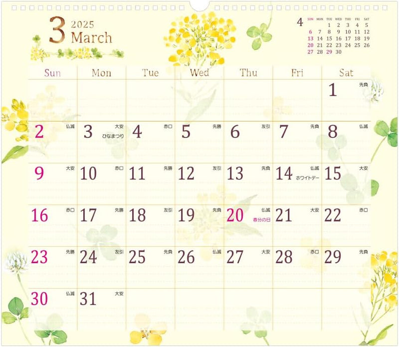 Midori 2025 Wall Calendar L Country Time Floral Pattern 31327006
