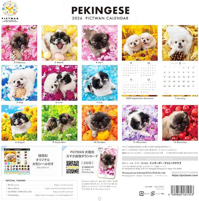 PICTWAN 2026 Calendar L Edition Pekingese