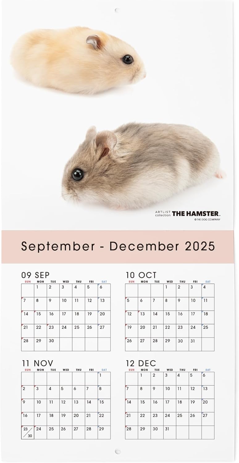 THE HAMSTER 2026 Wall Calendar Mini Size [Hamster]