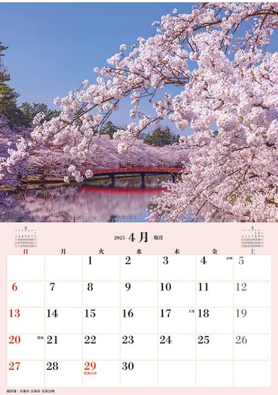 Try-X Jumbo 'Cherry Blossoms of Japan' Schedule 2025 Wall Calendar CL-471 B2