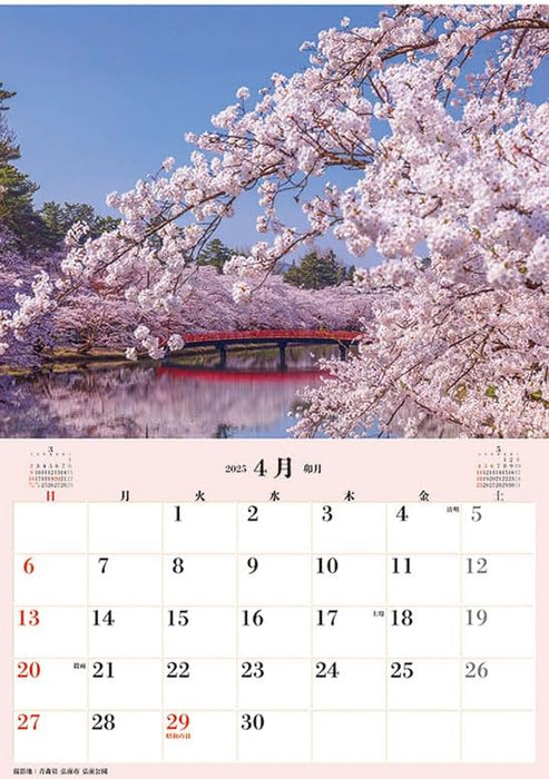 Try-X Jumbo 'Cherry Blossoms of Japan' Schedule 2025 Wall Calendar CL-471 B2