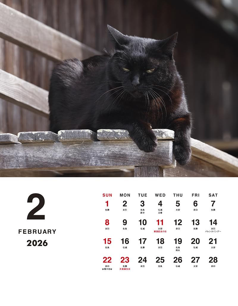 Mitsuaki Iwago Boss Cat Desk Calendar 2026