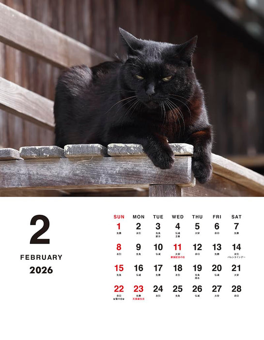 Mitsuaki Iwago Boss Cat Desk Calendar 2026