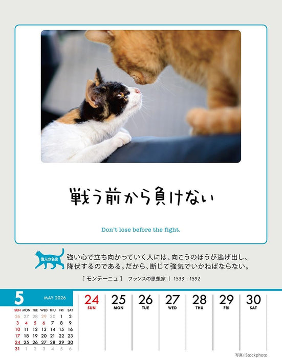 Try-X Life Works Itself Out! 2026 Desk Wall Calendar CL-384 18 x 14cm