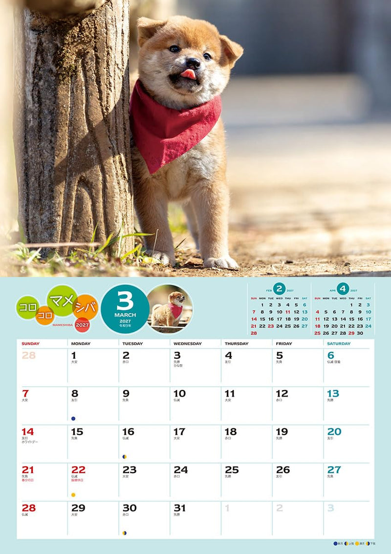 Try-X 2027 Wall Calendar Korokoro Mameshiba 27CL-381 51x36cm