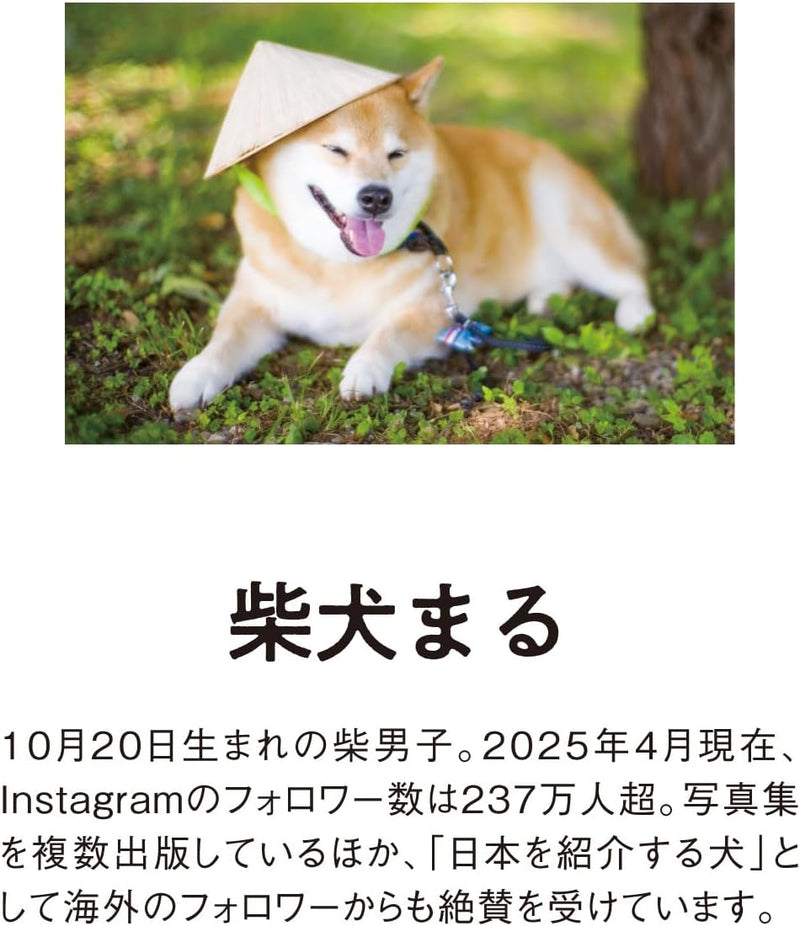 New Japan Calendar 2026 Desk Calendar Walk with Shiba Inu Maru NK8529
