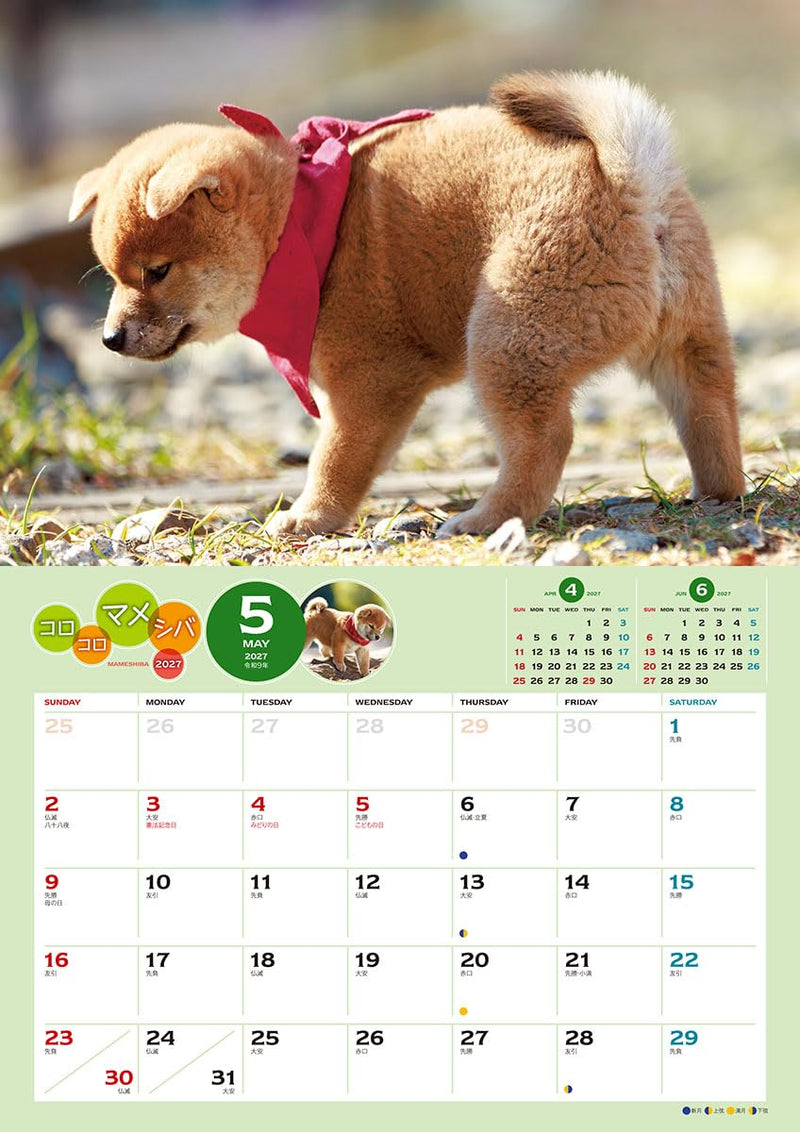Try-X 2027 Wall Calendar Korokoro Mameshiba 27CL-381 51x36cm