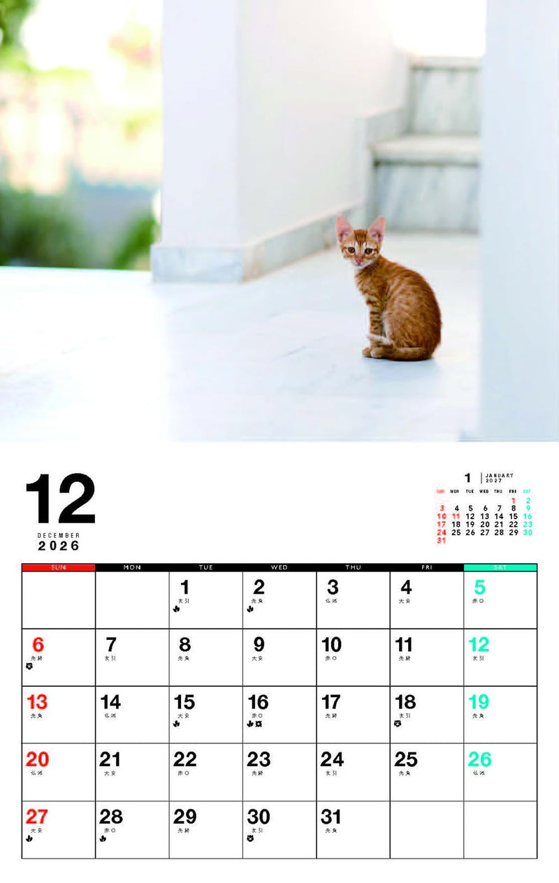 Kittens Calenddar 2027 (Monthly/Wall Calendar)