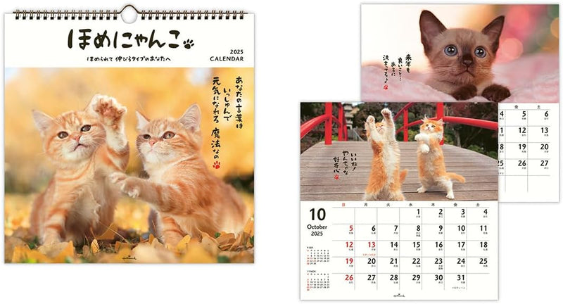 Hallmark 2025 Wall Calendar Homenyanko Large 834-630