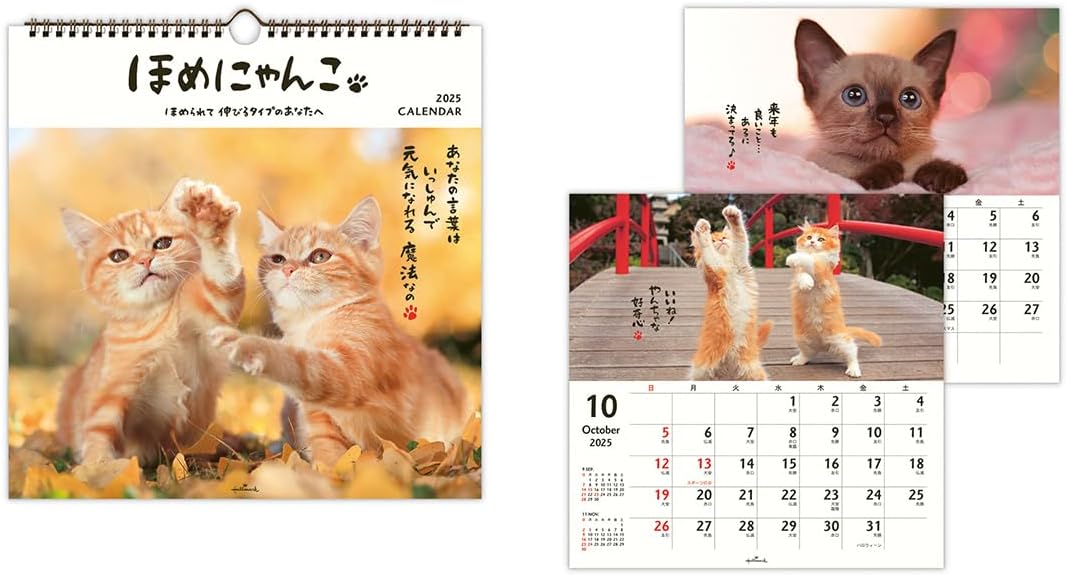 Hallmark 2025 Wall Calendar Homenyanko Large 834-630