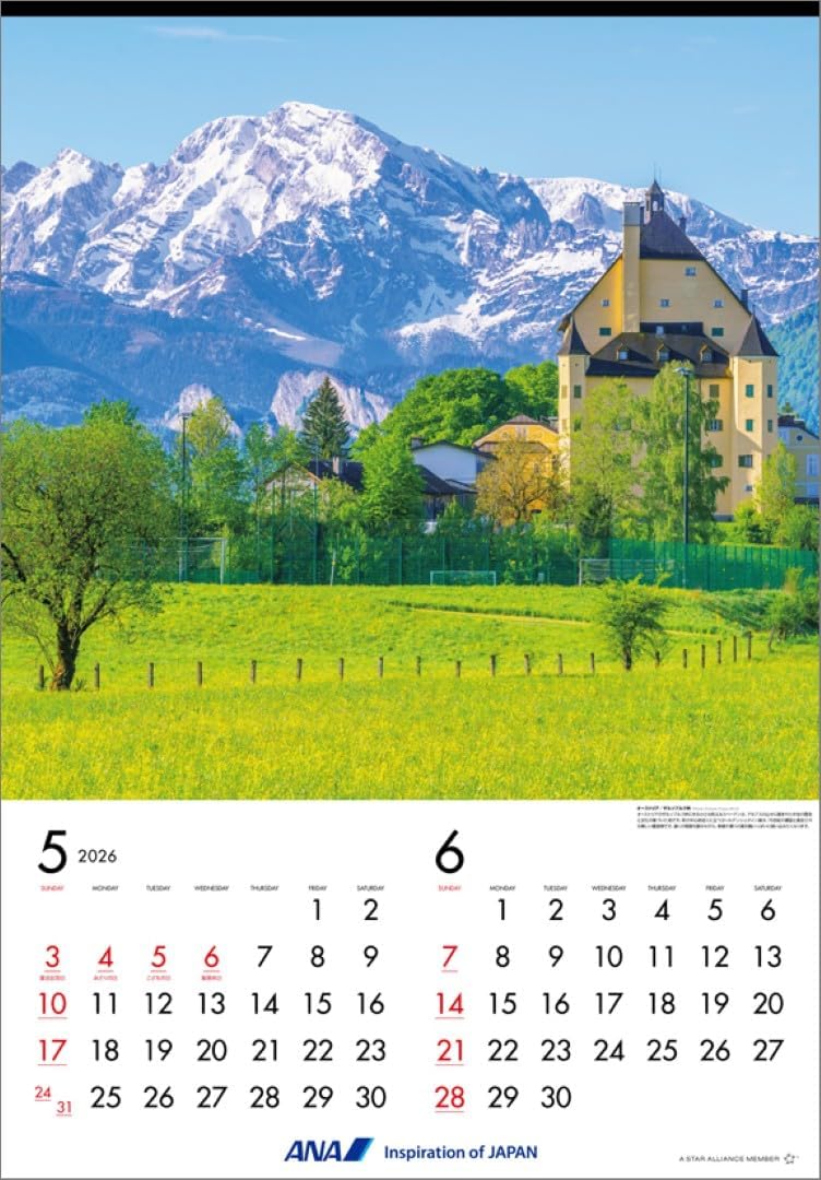 ANA 'Graphic Gallery' (Extra Large) 2026 Wall Calendar CL26-1142