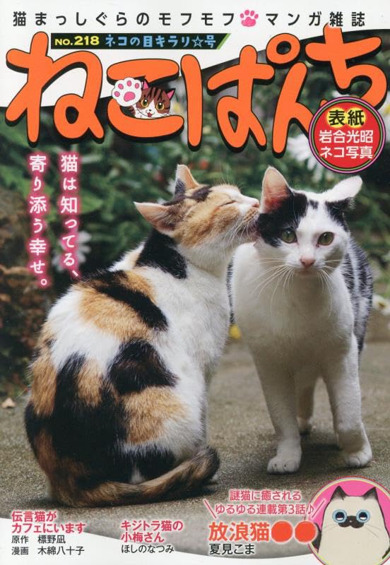 Neko Punch Neko no Me Kirari Go