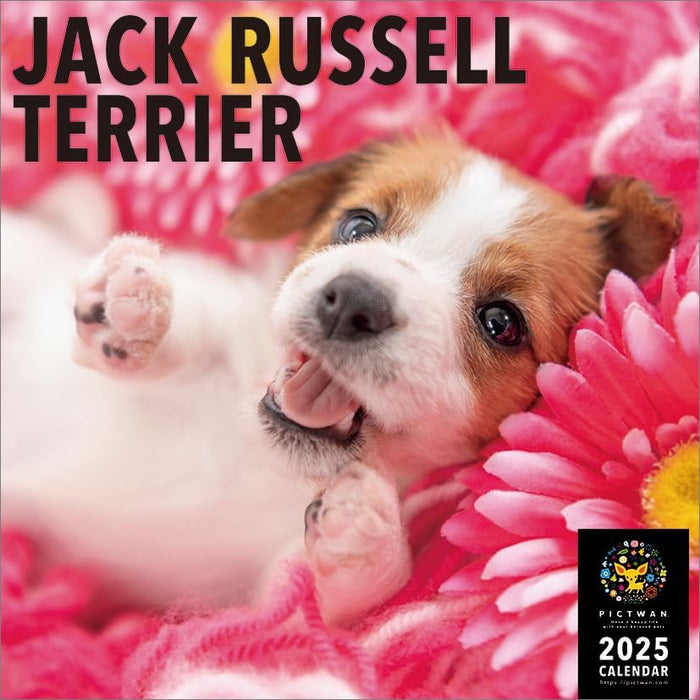 PICTWAN 2025 Calendar L Edition Jack Russell Terrier CL25-1215