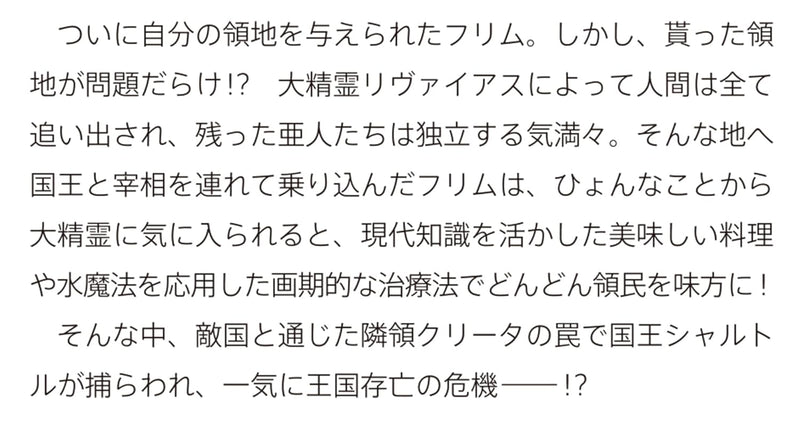 Mizu Mahou Gurai Shika Torie ga Nai Kedo Gendai Chishiki ga Areba Juubun da yo ne? 4 (Light Novel)