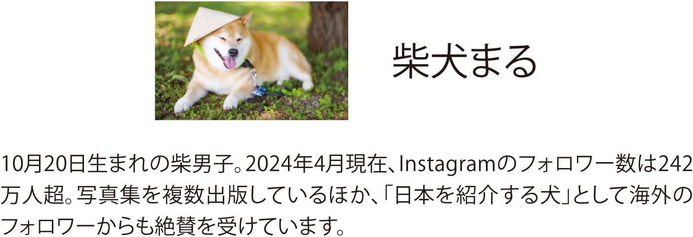 New Japan Calendar 2025 Wall Calendar Shiba Inu Maru Small NK4008