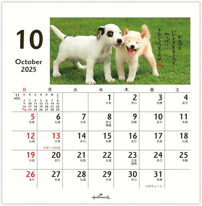 Hallmark 2025 Desk Calendar Homewanko 834-838