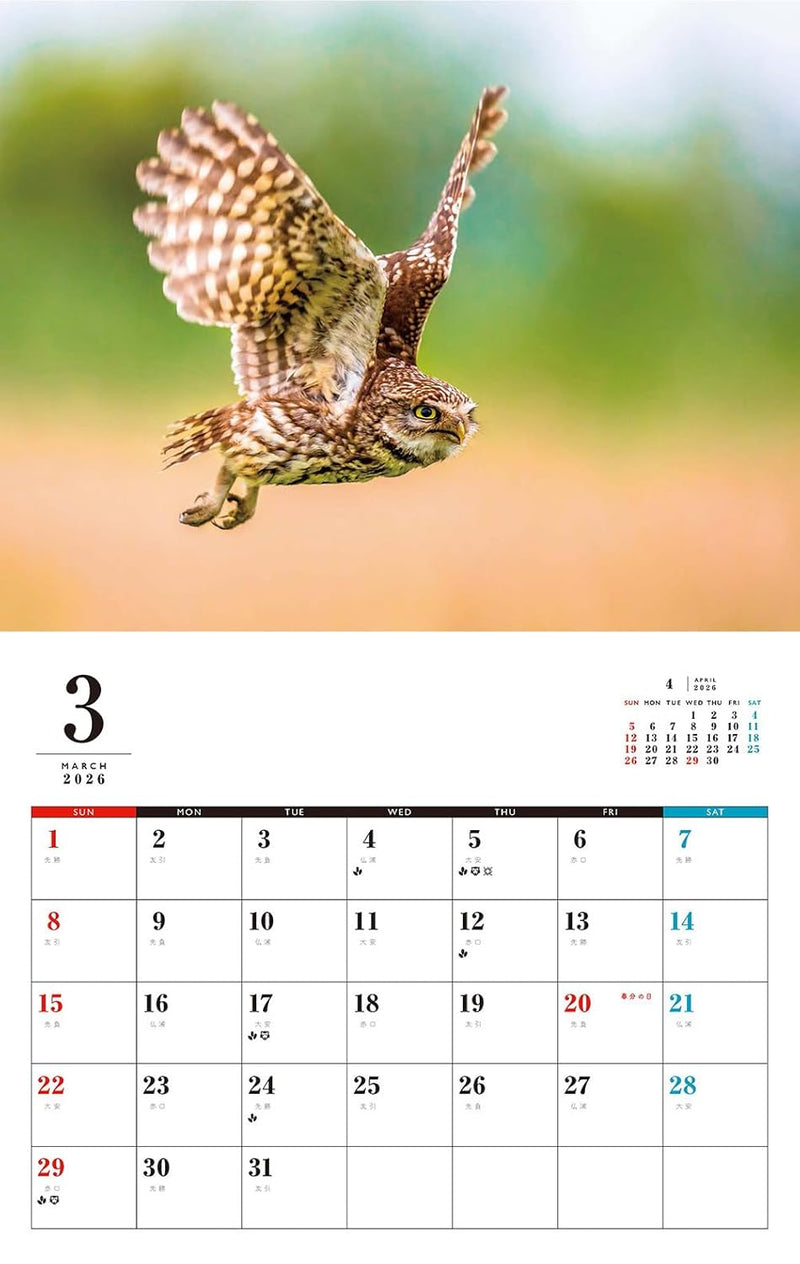 OWL Calendar 2026 (Monthly/Wall Calendar)