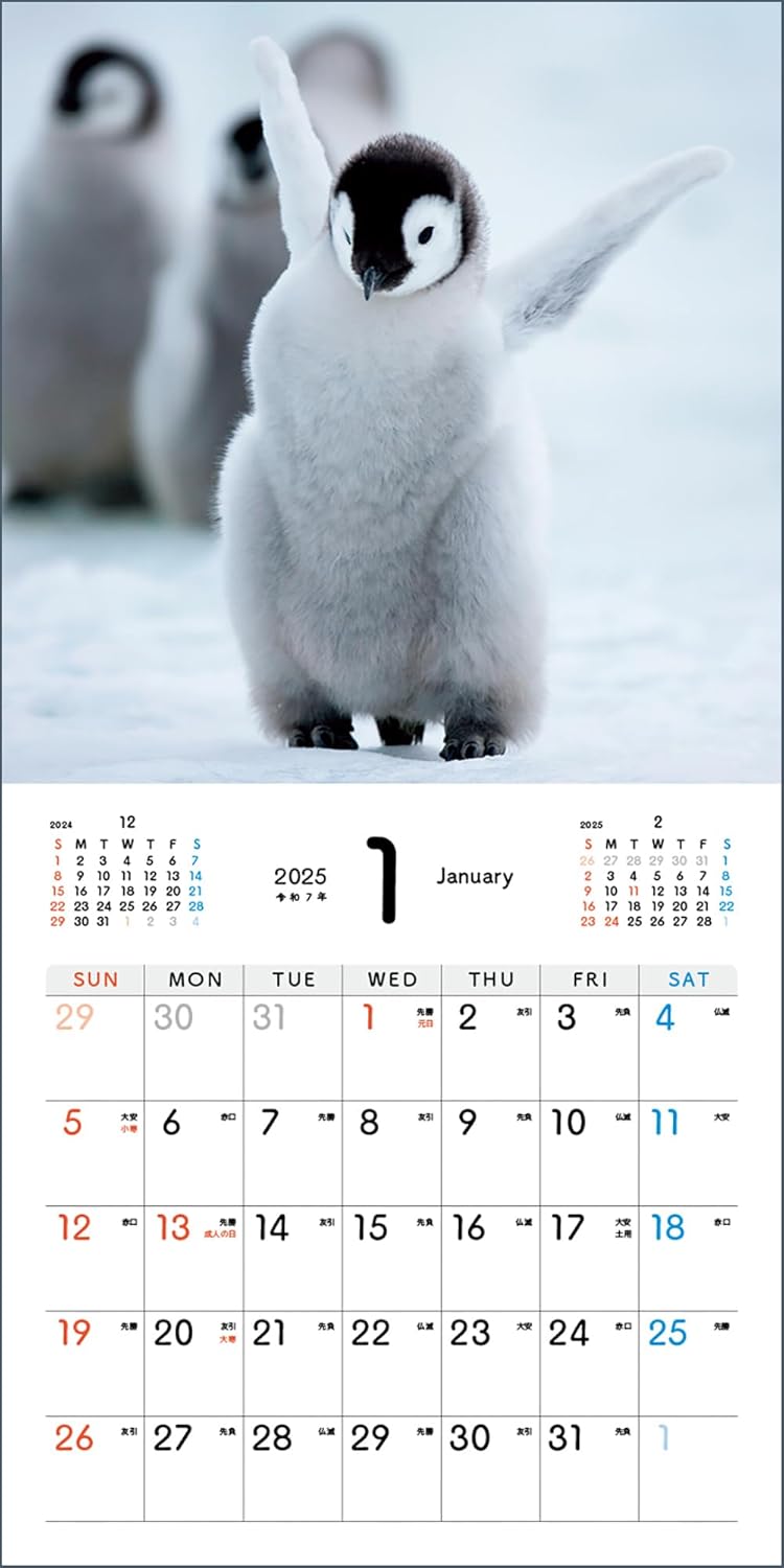 Baby Emperir Penguin Calendar 2025