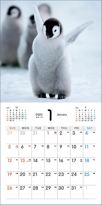 Baby Emperir Penguin Calendar 2025