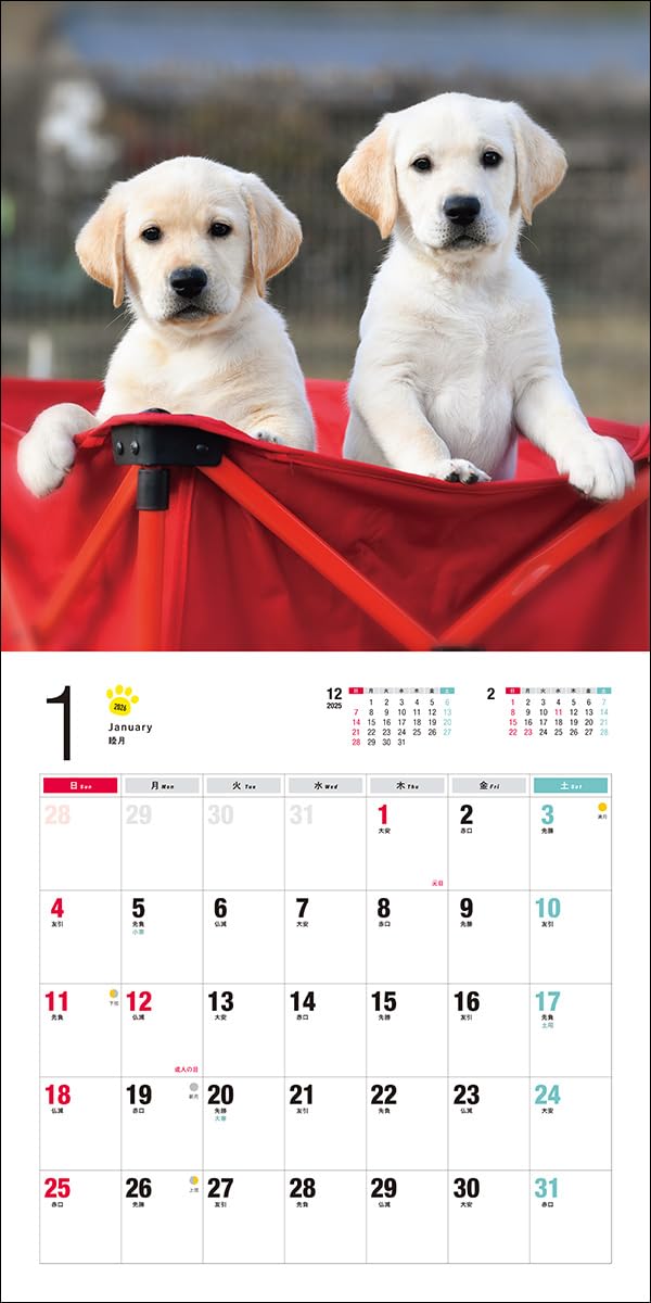2026 Labrador Retriever Calendar (Seibundo-shinkosha Calendar)