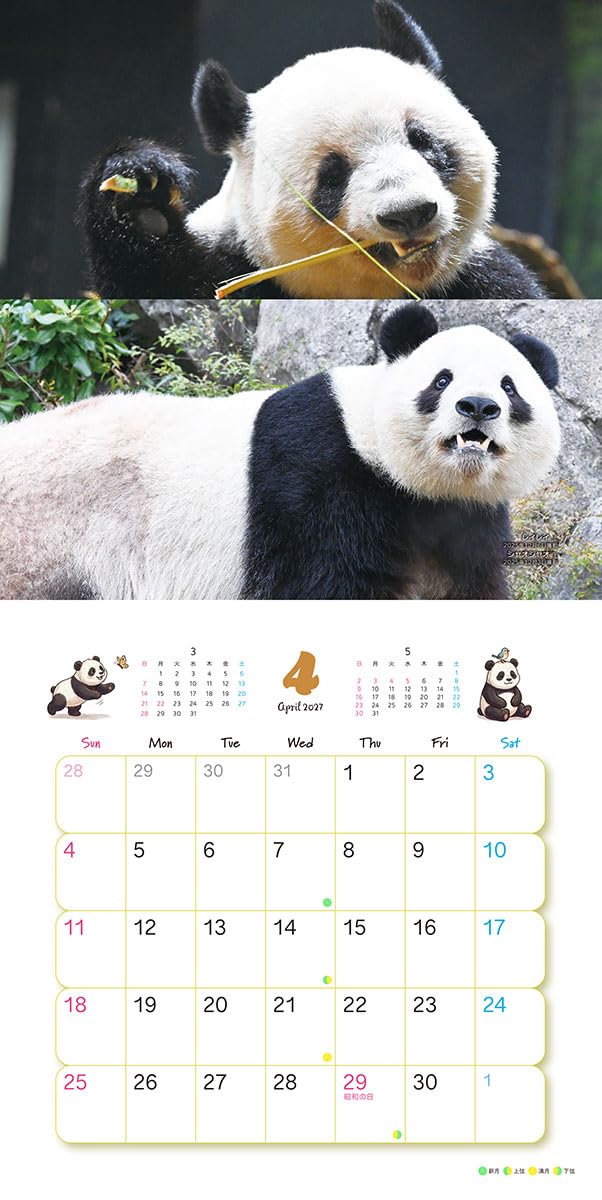 Try-X Xiang Xiang Xiaoxiao Lei Lei 2027 Wall Calendar 27CL-385 48 x 24cm